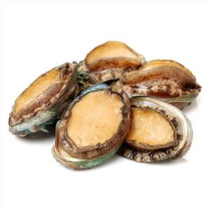 Abalone înghețat din China