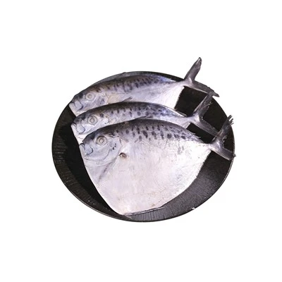 Fructe de mare de pești de lună înghețați