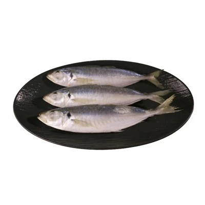Decapterus înghețat